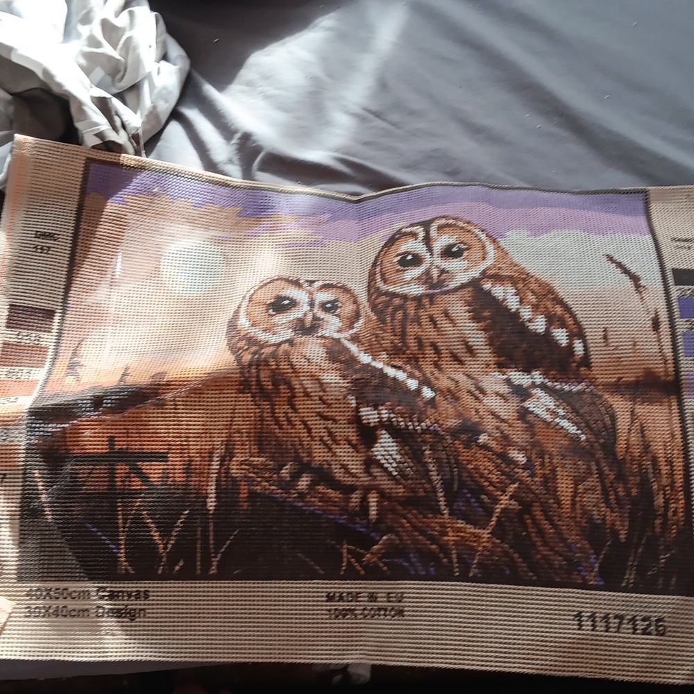 Owl needlepoint canvas